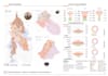 do architectural site analysis, mapping and diagrams