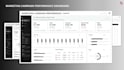 be your personal data analyst and visualization expert