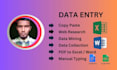 do data entry, copy paste, web research, excel, pdf to excel