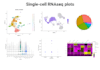 single cell rnaseq analysis