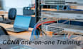 teach ccna courses online