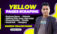 any yellow pages scraping, web scraper, amazon  web scraping