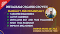do fast organic growth on instagram