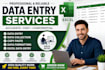 do data entry excel, data collection excel, copy paste