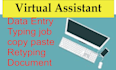 any document retyping copy paste typing, excel data entry typing work job, excel