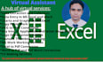 provide virtual services at reasonable rates