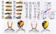 develop industrial design concepts and product sketches