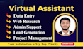 be your admin and personal virtual assistant for admin support and web research