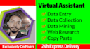 do perfect data entry, web research and copy paste
