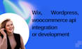 do any API integration and development