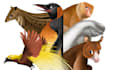 draw cute and  artistic animal  illustration