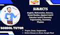provide online tutor service in physics mathematics, and other school subjects