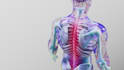 create 3d medical animation with high quality rendering