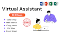 do ultimate data entry assistant , excel data mining, copy paste, within 3 hrs