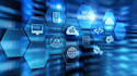 build a perfect dynamic website for your business