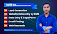 provide lead generation data entry and web research