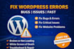 do wordpress maintenance, security and provide support