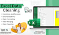 clean a excel spreadsheets , excel data cleaning, data cleanup excel sheet