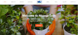 build your website using mern stack