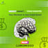 design modern visual content to grow your online presence