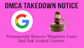 permanently remove articles,mugshots,bad news,delete negative link from google