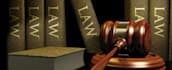 search and file trademarks, copyrights, patents, designs