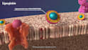 create 3d medical explainer video, 3d medical animation