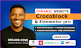 create dynamic wordpress website with elementor, jet engine