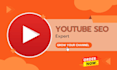 do expert youtube SEO optimization for channel and videos