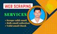 scrape valid email address, website name, and phone numbers,