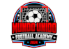 design wonderful football academy logo