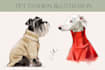 do pet fashion illustration