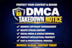 takedown harassing remove copyright mass reports facebook tiktok x under dmca