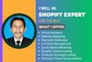 be professional shopify store development, and shopify website