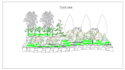 create 2d landscape designs, garden designs, and planting plans