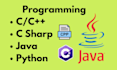 script java python bot database coding programming project assignment dev