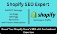 complete monthly on page off page and technical SEO for shopify