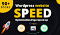 provide speed optimization wordpress, website performance,SEO and google ranking