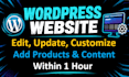 do wordpress changes, edit, update, and customize wordpress website fast