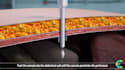 make a realistic 3d medical device surgery cgi animation