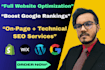 perform professional on page and technical SEO for your website
