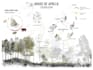 design architectural presentation board and portfolio