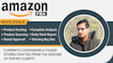 fully automate your amazon fba wholesale, amazon dropshipping store as amazon va