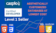 design, customize, deploy and update your caspio application