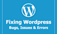 fix your wordpress website bugs