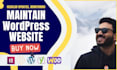 provide maintenance and support for your wordpress website
