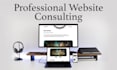 give professional website consulting for your business