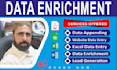 do data appending, enrichment and data entry