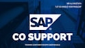be your sap co consultant