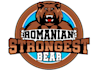 design a professional bear logo